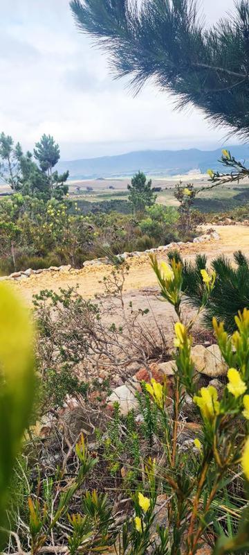 Avani Lodge Private Nature Reserve Botrivier Luaran gambar