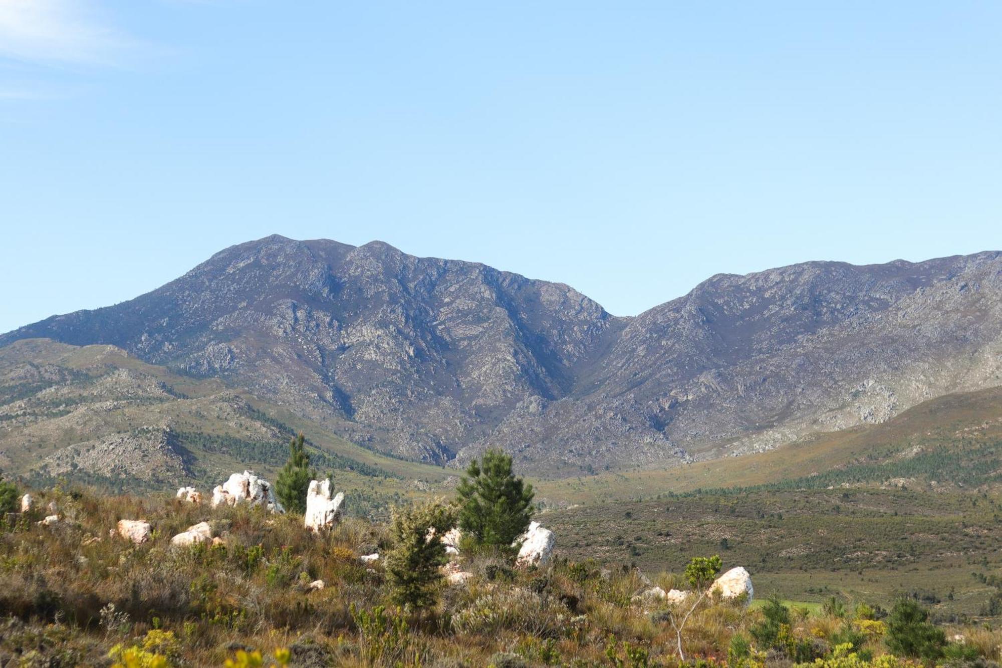 Avani Lodge Private Nature Reserve Botrivier Luaran gambar