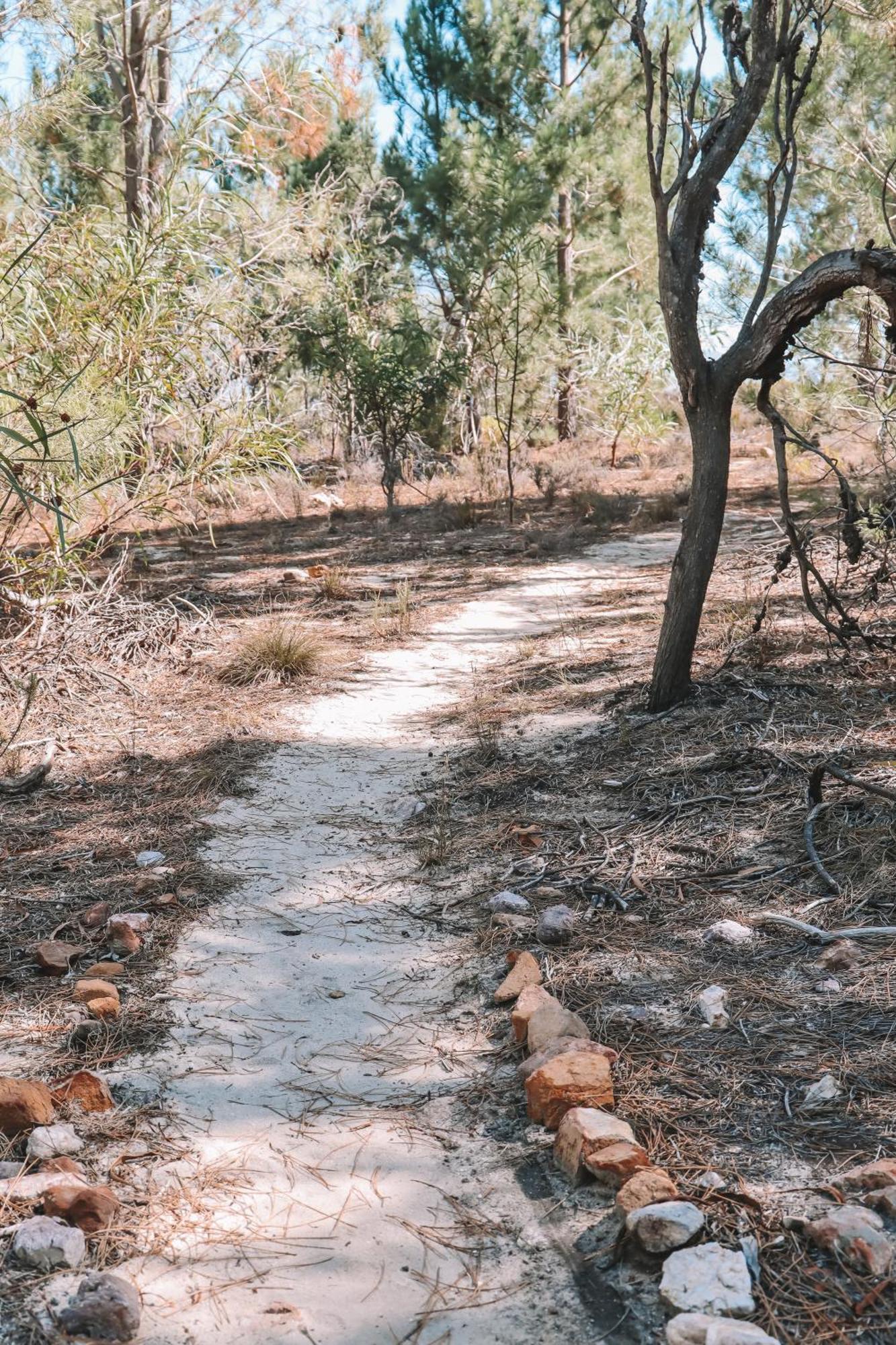 Avani Lodge Private Nature Reserve Botrivier Luaran gambar
