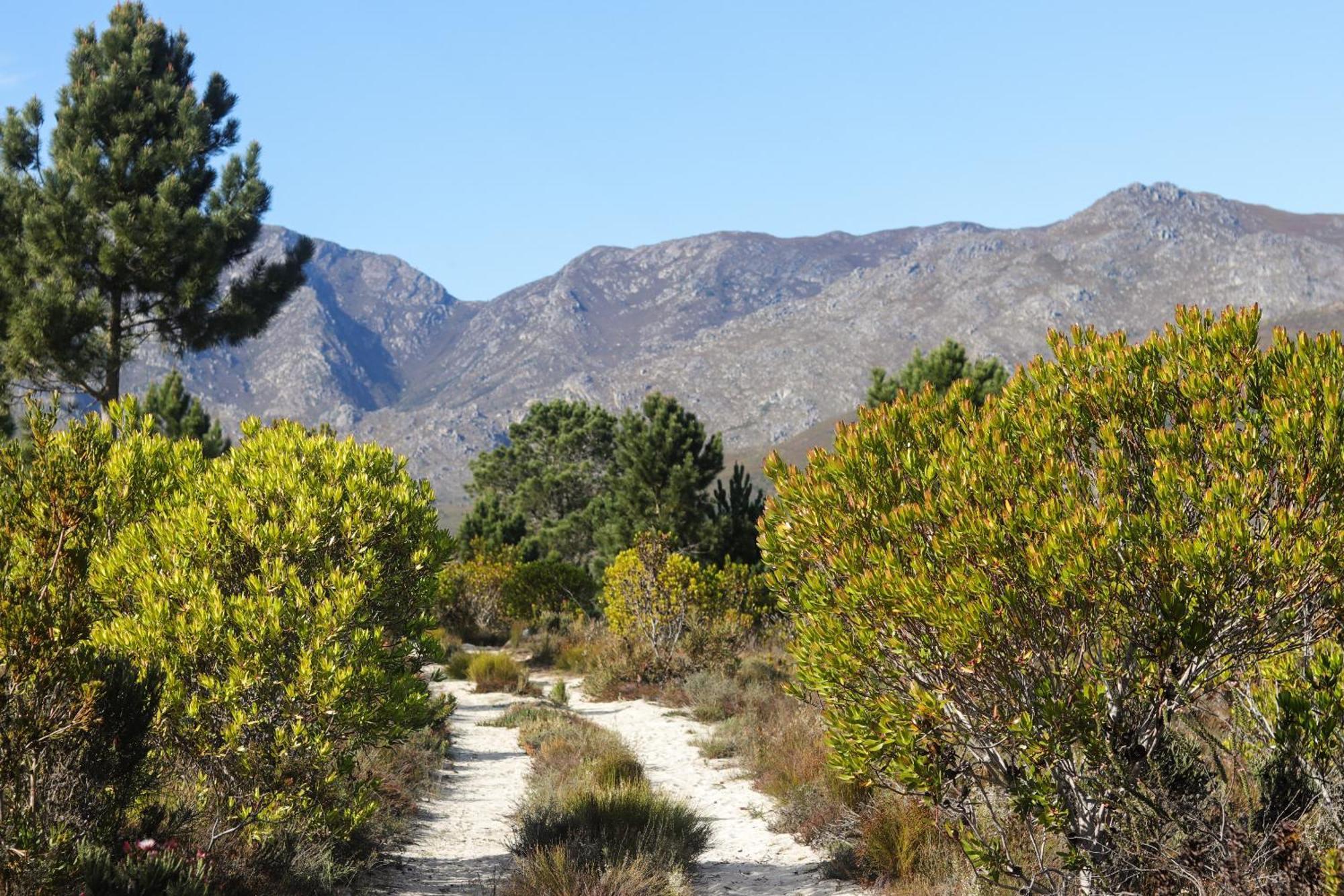 Avani Lodge Private Nature Reserve Botrivier Luaran gambar